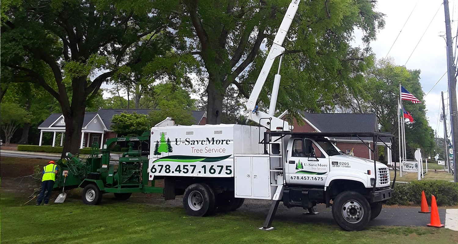 U-SaveMore Tree Service Snellville, GA - Tree Removal and Trimming Service - Gwinnett County
