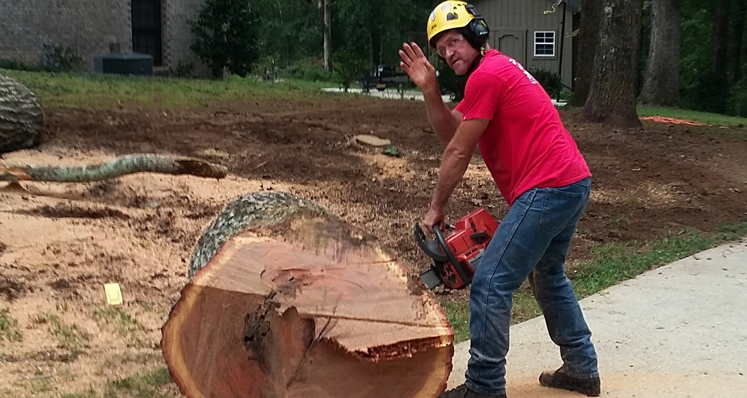 Contact Us for Tree Services - Tree Removal and Trimming Services, Snellville, Loganville, Grayson, Lilburn, Monroe - U-SaveMore Tree Service