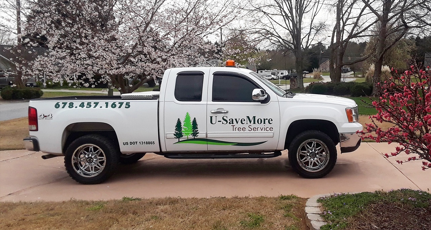 Tree Trimming and Removal Service - Conyers, Loganville, Snellville, Grayson, Monroe - U-SaveMore Tree Service