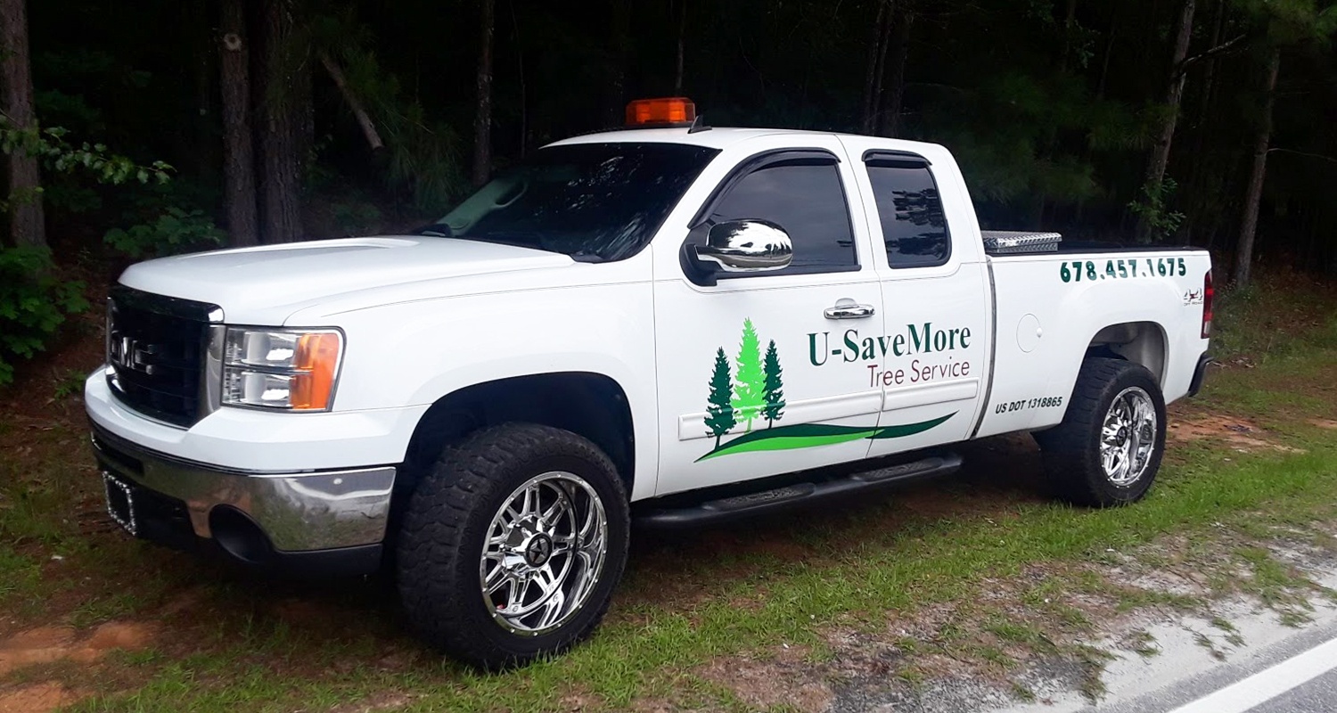 Tree Trimming and Removal Service - Conyers, Loganville, Snellville, Grayson, Monroe - U-SaveMore Tree Service
