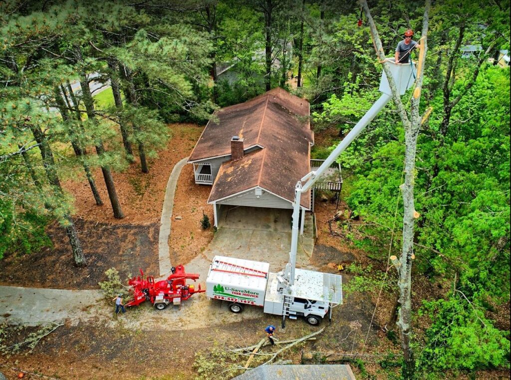 U-Savemore-tree-service-tree-removal-Tree Service - Conyers, Snellville, Loganville bucket truck