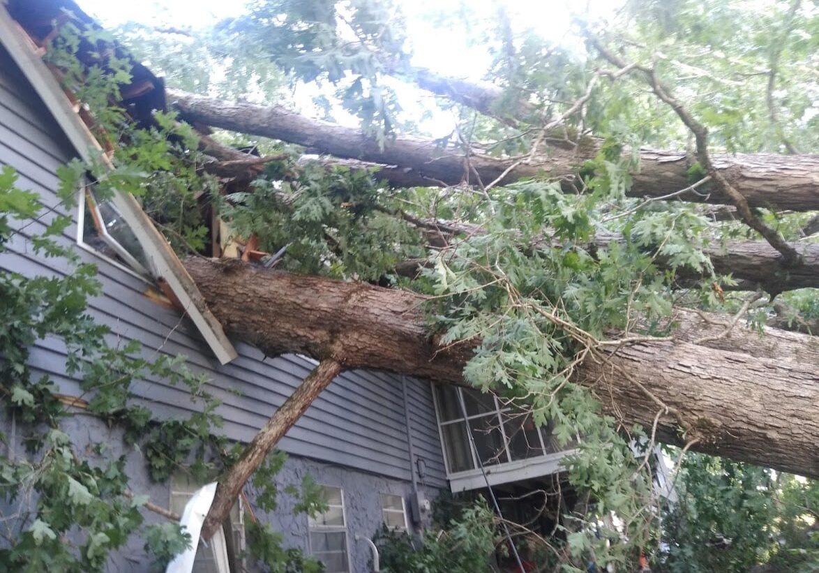 Emergency Tree Removal Loganville, GA - U-Savemore Tree Service