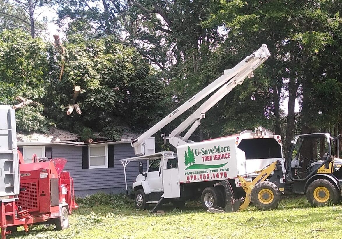 Emergency Tree Removal Loganville, GA - U-Savemore Tree Service_2