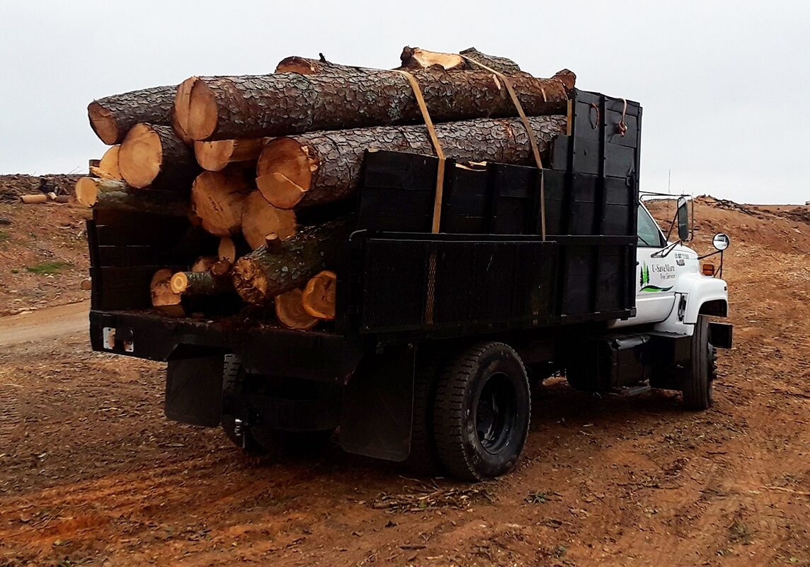 Land Clearing and Lot Clearing Snellville, Loganville, Grayson, Gwinnett, GA U-Savemore Tree Service