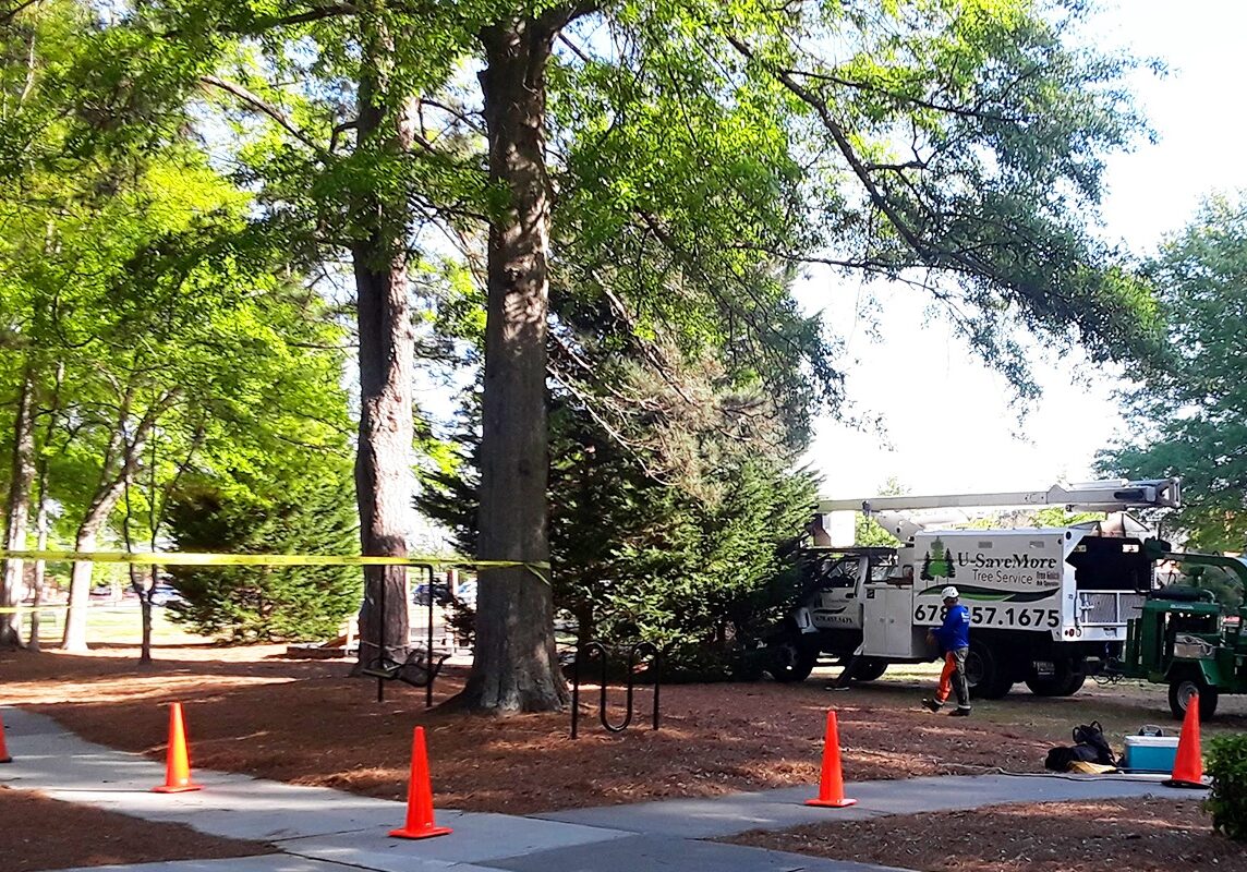 U-SaveMore Tree Service Snellville, GA - Tree Removal and Trimming Service - Gwinnett County