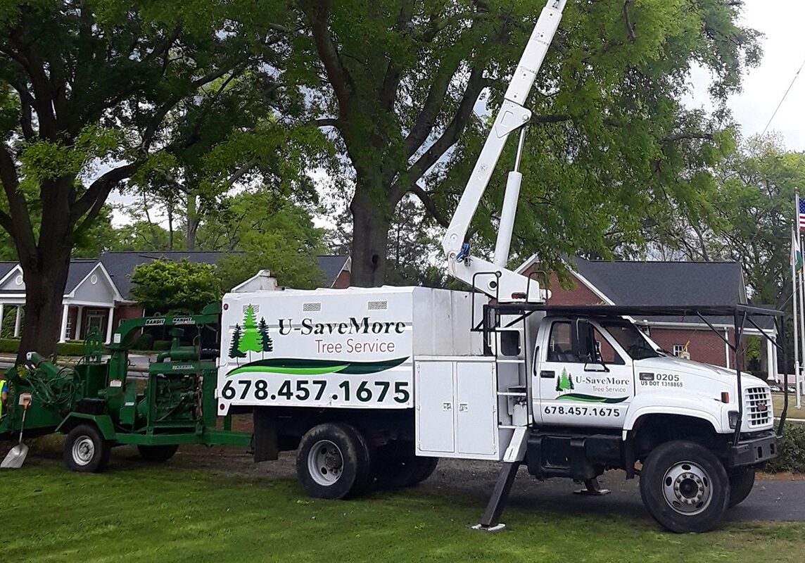 U-SaveMore Tree Service Snellville, GA - Tree Removal and Trimming Service - Gwinnett County